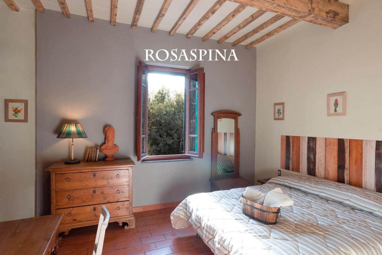 Agriturismo La Pineta Фучеккьо Экстерьер фото